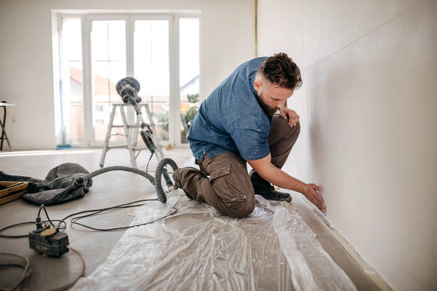 Best Drywall Removal and Disposal  in Wayne, MI